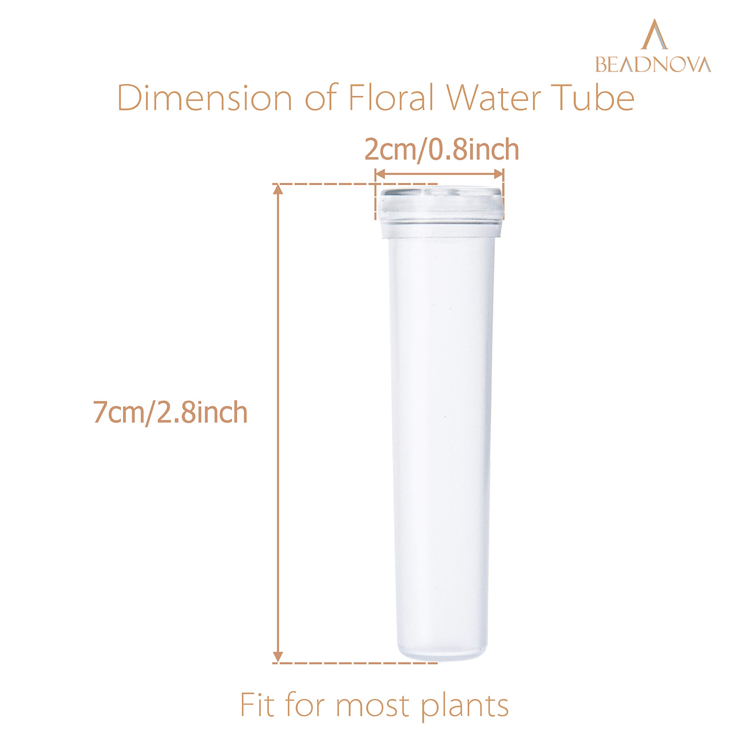 BEADNOVA Floral Water Tubes 2.8 Inch Plastic Water Tubes for Floral Flower Vials with Caps for Flower Arrangement Decoration (Clear, 20 Pcs)
