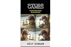 DIY RABBIT TOYS AND GAMES: Creative Ways to Keep your bunny Active