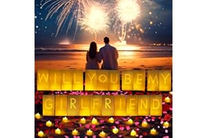 ARIKJ Will You Be My Girlfriend Light Up Letters Luminary Bags, Banner, Romantic Decoration Kit with 30PC Bright LED Candles and 2000PC Fake Rose Petals
