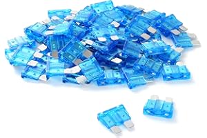 GOODSEN (60Pcs) 15 Amp Standard Car Fuses, 15A Automotive Fuses, Automotive Replacement Fuses(ATO/ATC), Blade Fuse for Car/RV/Truck/SUV/Motorcycle/Boat