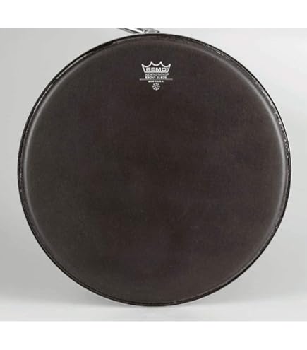 Amazon.com: Remo M7S100F5 Drumhead Pack (M7-S100-F5