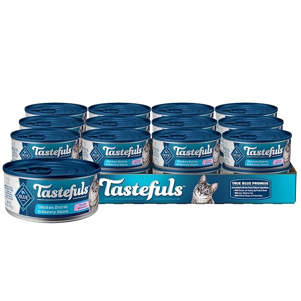 BLUE BUFFALO TASTEFULS NATURAL TENDER MORSELS WET CAT FOOD, CHICKEN ENTRÉE 5.5-OZ CANS (PACK OF 24)