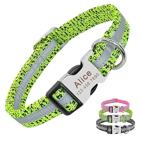 Pet Artist Hundehalsband für kleine mittelgroße große Hunde, reflektierendes Gravur-Hundehalsband mit Namen für Mops, Pudel, 
