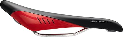 fizik gobi saddle
