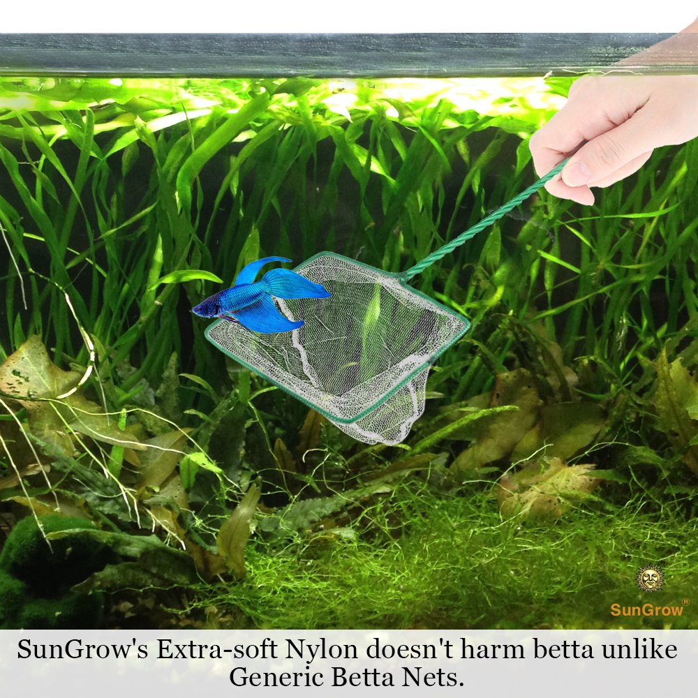 Anti-stress Betta Net -- Routine Tank Maintenance made easy - Durable nylon net prevent pulling fish scales - Transparent net do not scare fish - Hook on handle tail calls for easy storage