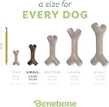 Benebone Indestructible Stick Dog Chew Toy Real Bacon Flavor Small Dogs view 4