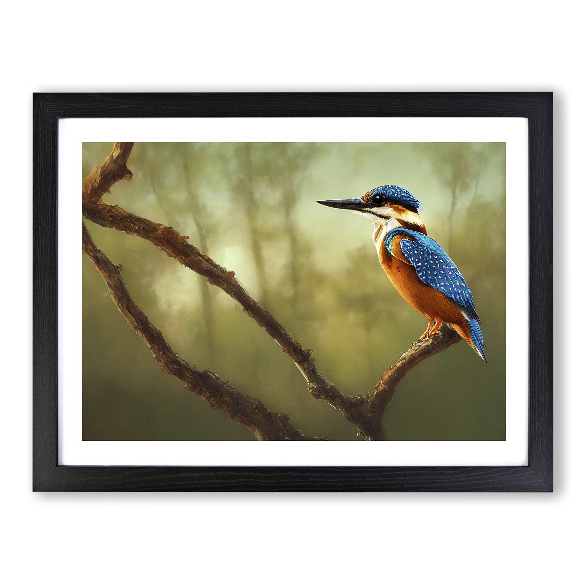 Enlightened Kingfisher Bird Framed Print | A4 Black Framed Wall Art | Ready to Hang | Modern Nature Picture | Living Room Bedroom Lounge Office