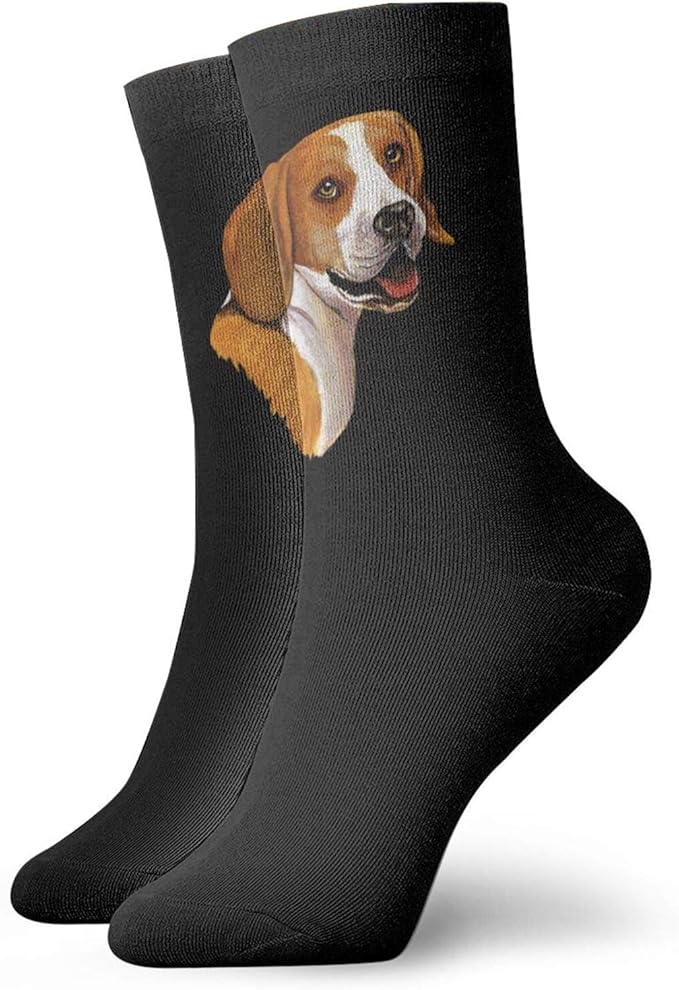 beagle socks h&m