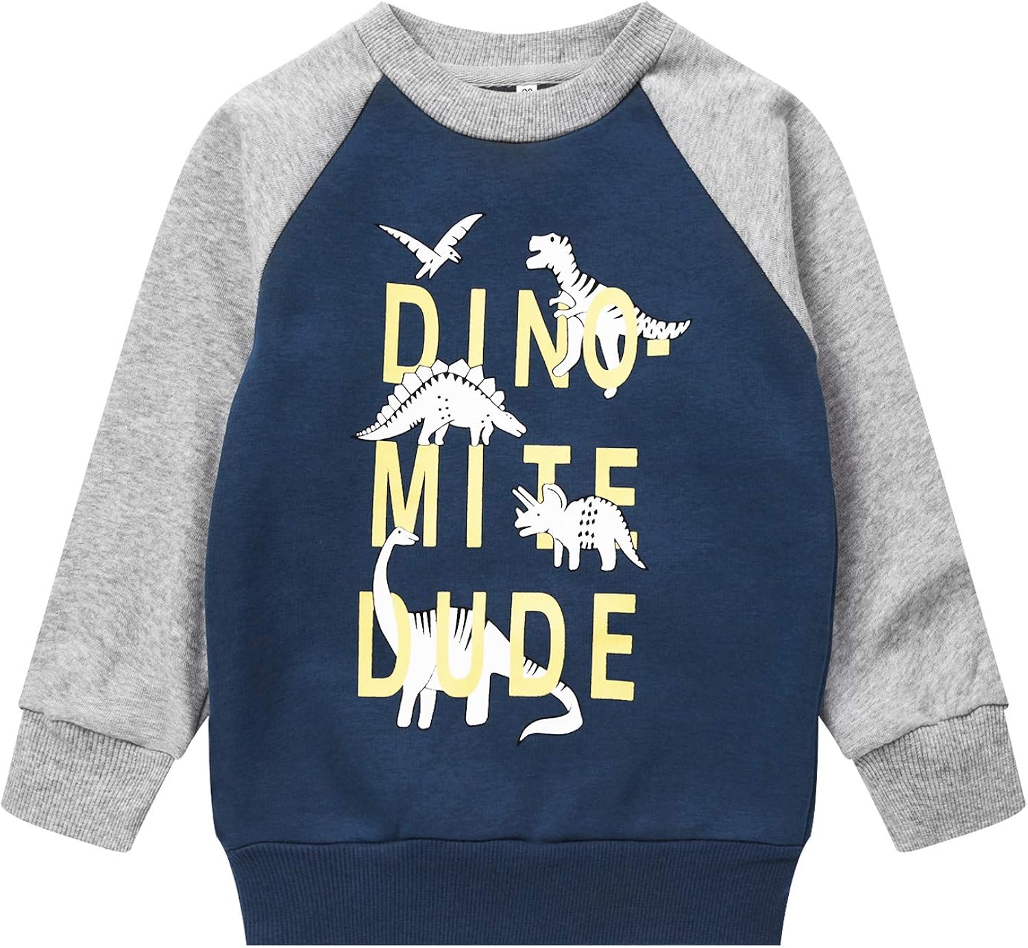 Toddler Boys Dinosaur Sweatshirts Cartoon Winter Long Sleeve Kids Sport Outdoor Pullover Tops Tees 2T-8T: Clothing