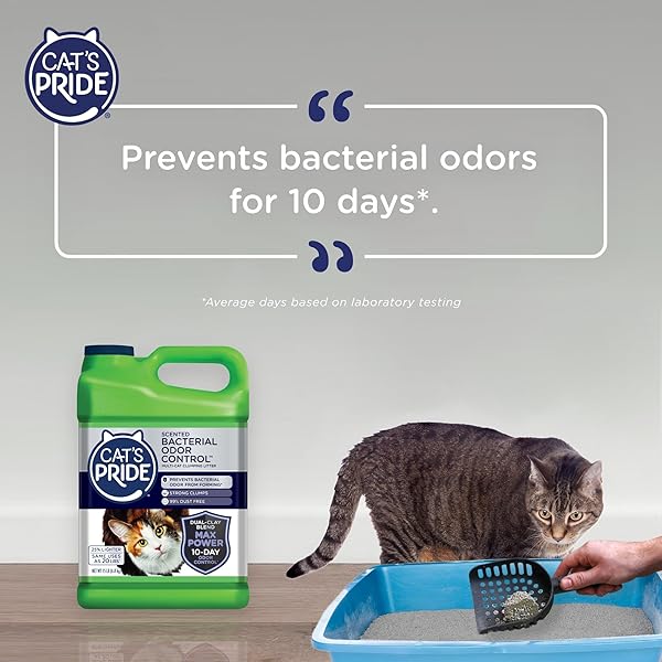 CAT’S PRIDE MAX POWER: BACTERIAL ODOR CONTROL – UP TO 10 DAYS OF POWERFUL ODOR CONTROL – STRONG CLUMPING – 99% DUST FREE – MULTI-CAT LITTER, FRESH SCENTED, 15 POUNDS