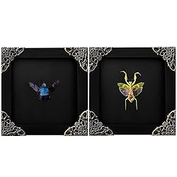 2 Real Green Mantis Blue Bee Frames Dead Insect