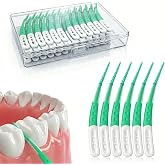 ACSKD Dental Picks for Teeth Cleaning, 96 Count Disposable Tooth Picks Flossers with Convenient Carry Case, Green
