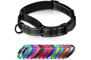 Erbine Padded Martingale Collar for Dogs | Neoprene Martingale Dog Collars | Reflective Nylon Martingale Collar | Adjustable Dog Martingale for Small Medium and Large Dogs