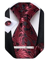 DiBanGu Silk Paisley Ties for Men Woven Necktie and