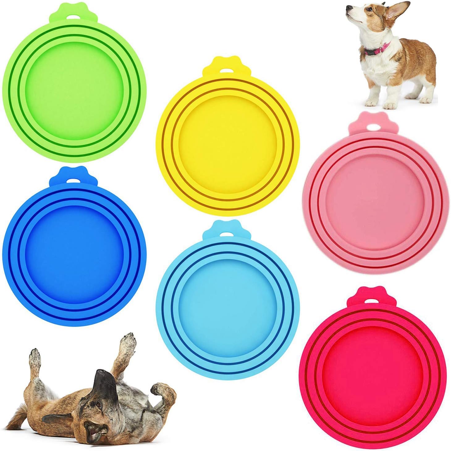 medicated flea and tick shampoo