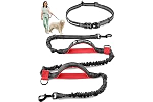 PET DREAMLAND Exquisite Hands-Free Dog Leash for Large Dogs: Ultimate Comfort & Freedom for Running, Walking, Hiking. Premium Quality, Durable & Versatile Waist Dog Leash Belt. Your Dog Will Love It