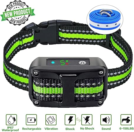 indoor cats for sale near me