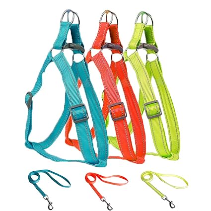 Colourful dog harness Clearance