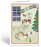 Stonehouse Collection Weihnachtskarten – Lustige Katze & Vögel, 18 Karten + Umschläge