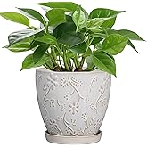 MPotTo 6 Inch Ceramic Plant Pot for Indoor Plants Outdoor Round Planter Flower Pot with Drainage Hole and Saucer for Home Garden Office Decor White