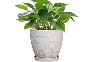 MPotTo 6 Inch Ceramic Plant Pot for Indoor Plants Outdoor Round Planter Flower Pot with Drainage Hole and Saucer for Home Garden Office Decor White