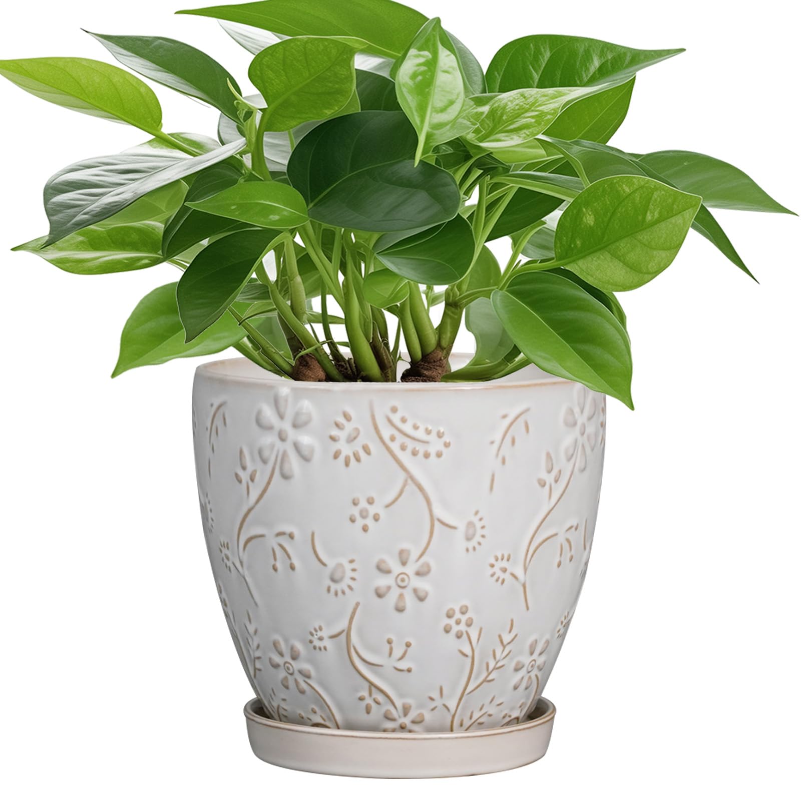Photo 1 of MPotTo 6 Inch Ceramic Plant Pot for Indoor Plants Outdoor Round Planter Flower Pot with Drainage Hole and Saucer for Home Garden Office Decor White