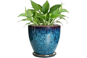 EPFamily Ceramic Plant Pot, 6 Inch Ceramic Planter Pot with Drainage Hole and Saucer, Succulent Round Flower Pot for Indoor Plants Outdoor, Blue