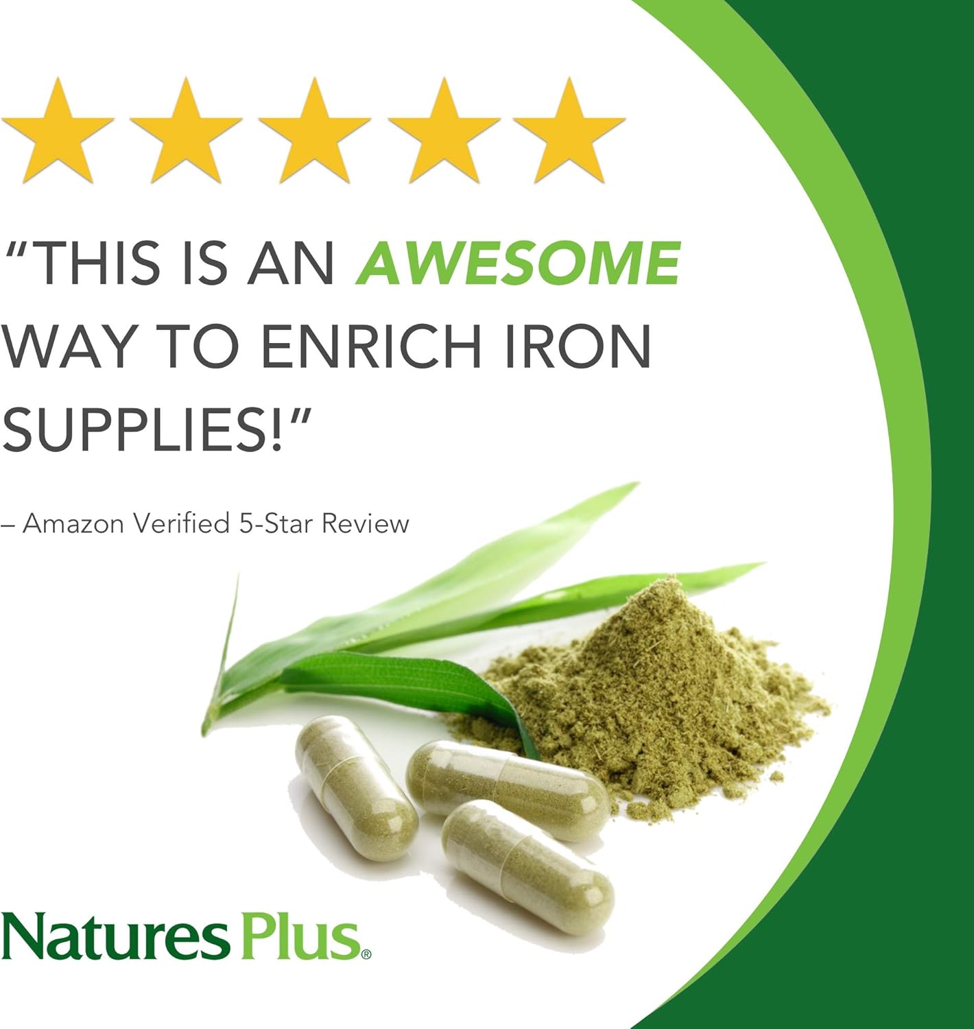NaturesPlus Hema-Plex Softgels - 85 mg Elemental Iron,60 Count (Pack of 1) Softgels - Fast Acting Supplement For Total Blood Health - Gentle Formula - Gluten-Free - 20 Total Servings: Health & Personal Care