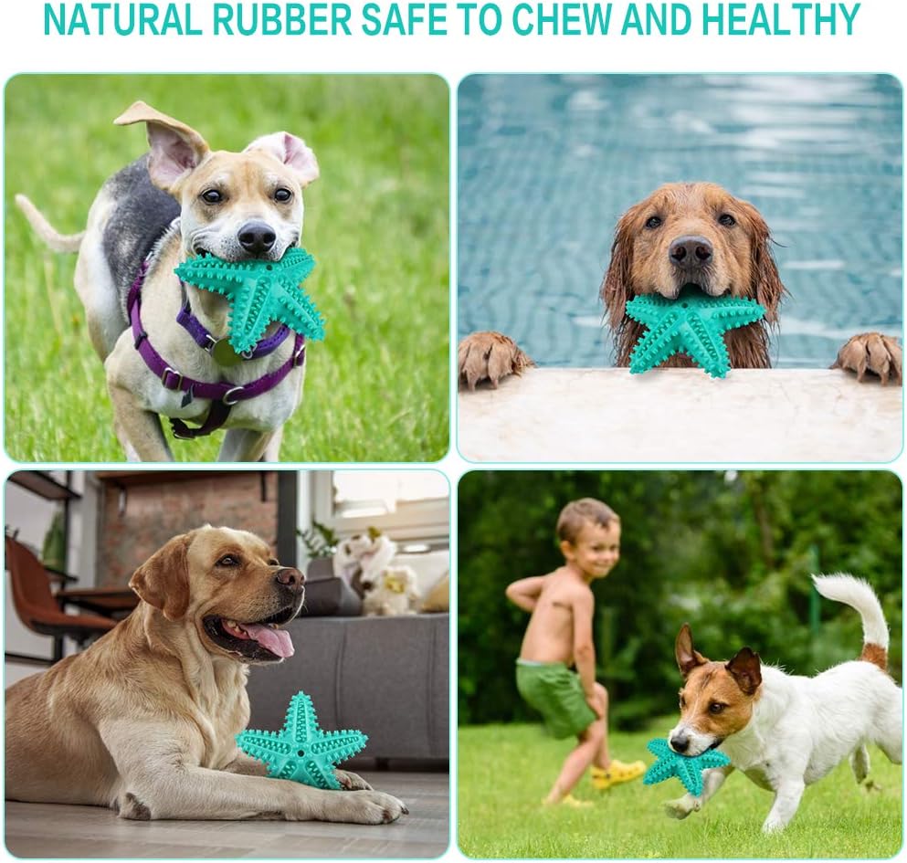 La Desire Dog Chew Toys Teeth Cleaning Toothbrush Squeaky Toy - Image 5