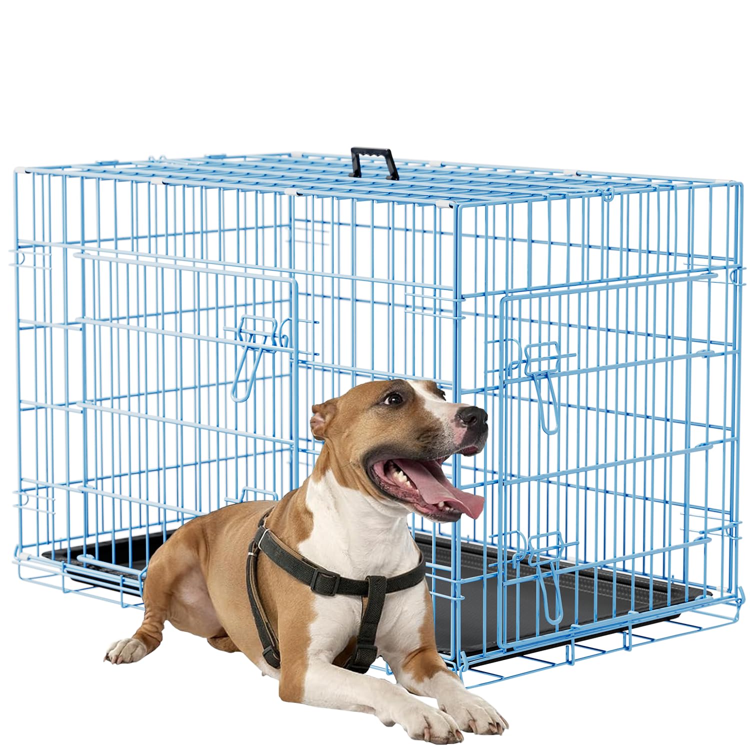FDW Dog Crate 36inch Dog Cage Foldable Metal Kennel with Leakproof Tray Foldable Design Indoor Outdoor Use for Medium Dogs,Blue Image
