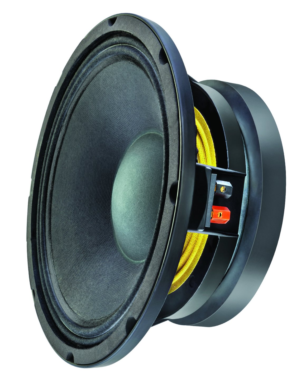 sweton speaker 18 inch