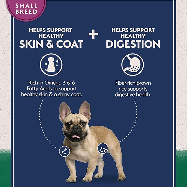 NATURAL BALANCE LIMITED INGREDIENT SMALL-BREED ADULT DRY DOG FOOD WITH HEALTHY GRAINS, LAMB & BROWN RICE RECIPE, 4 POUND (PACK OF 1)
