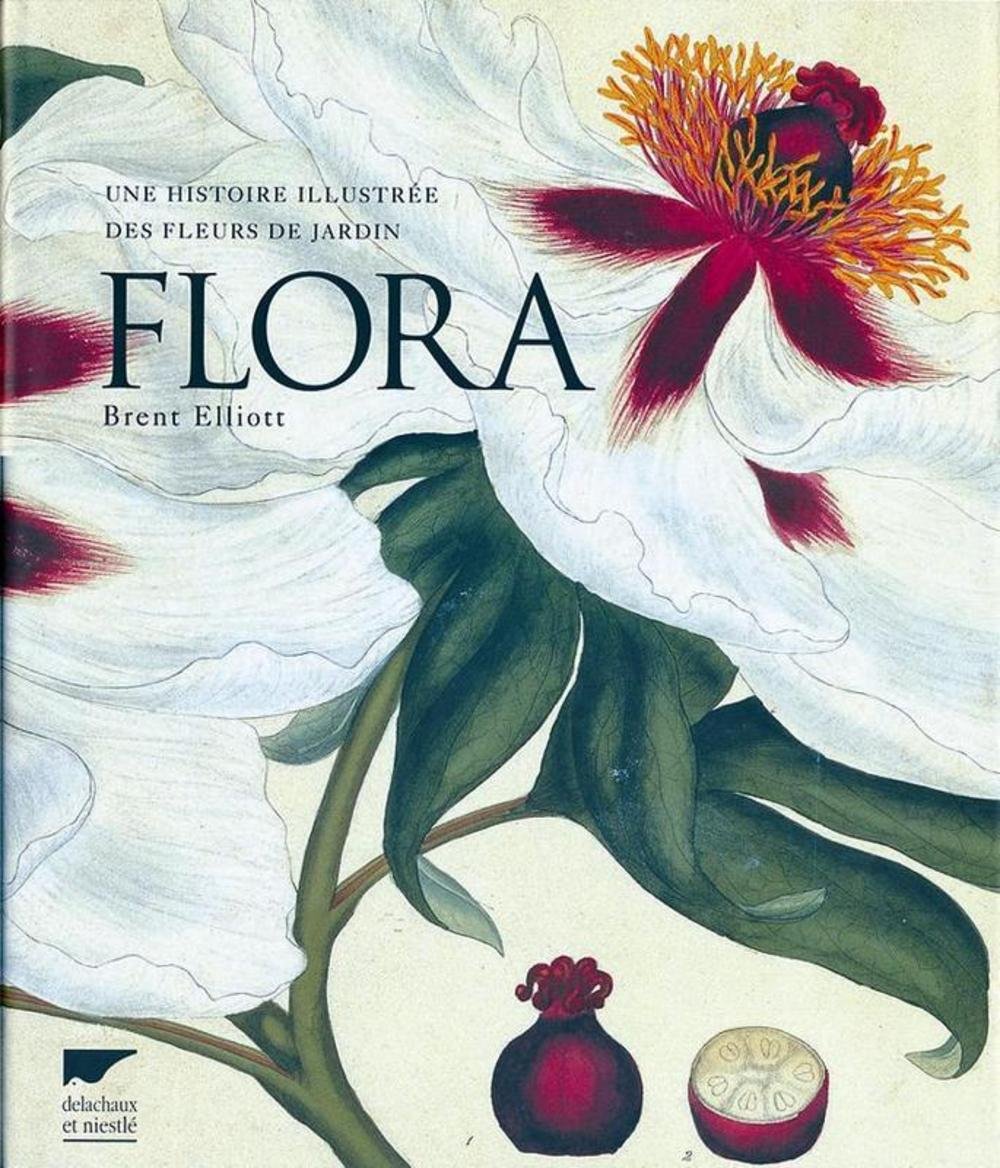 Amazon Fr Flora Une Histoire Illustree Des Fleurs De Jardin Elliott Brent Hornby Simon Livres