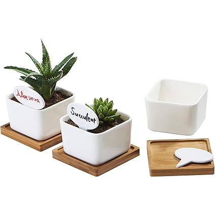Planter Pots Indoor Amazon In Home Kitchen