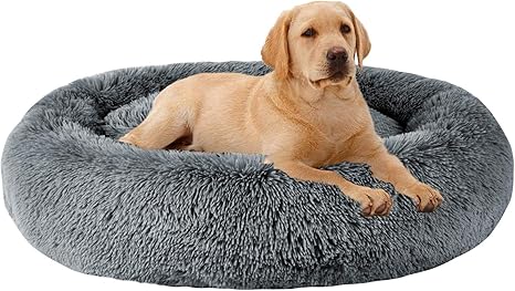 Xxl raised dog bed Clearance