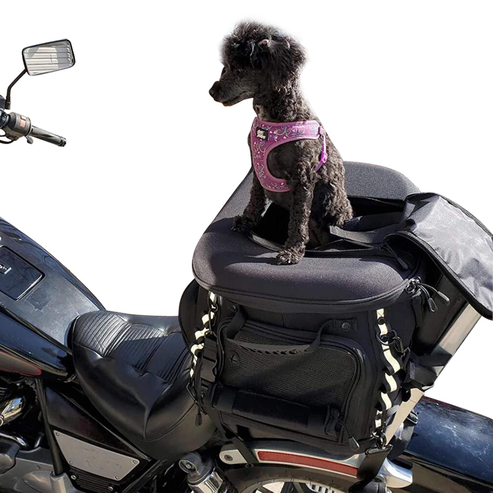 Buy FHV Motorcycle Dog Carrier,Dog Travel Carrier,20LBS Small Midium