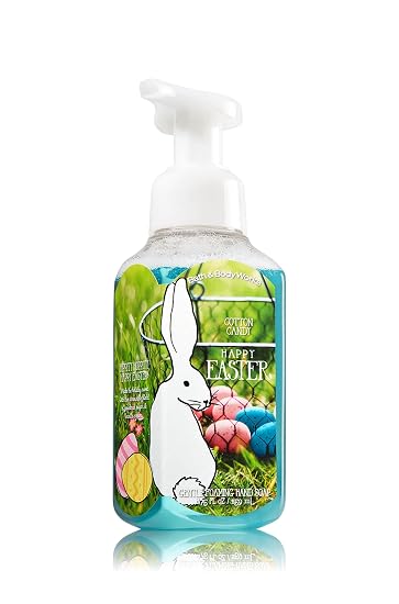 Amazoncom Bath Body Works Gentle Foaming Hand Soap