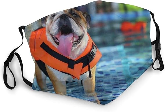 English Bulldog Dog Wear Life Jacket Face Mask, Adult Face