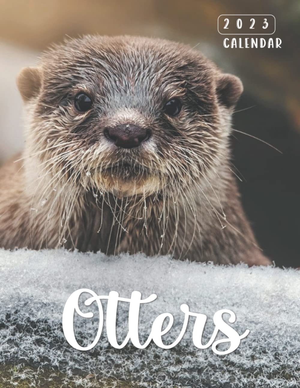 Otter Calendar 2023 Otters Calendar 2023: Great Gift For You With 18-Months Calendar From July  2022 To December 2023: Publishing, Lyni: 9798445809647: Amazon.com: Books