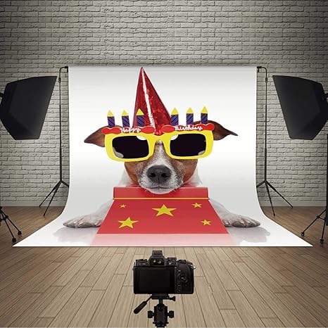 Amazon Com Birthday Decorations For Kids Photo Background Party