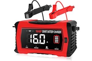 Chargeur de batterie de 16 A, chargeur de batterie au lithium LiFePO4 12 V 24 V pour voiture, camion, tondeuse à gazon, batea