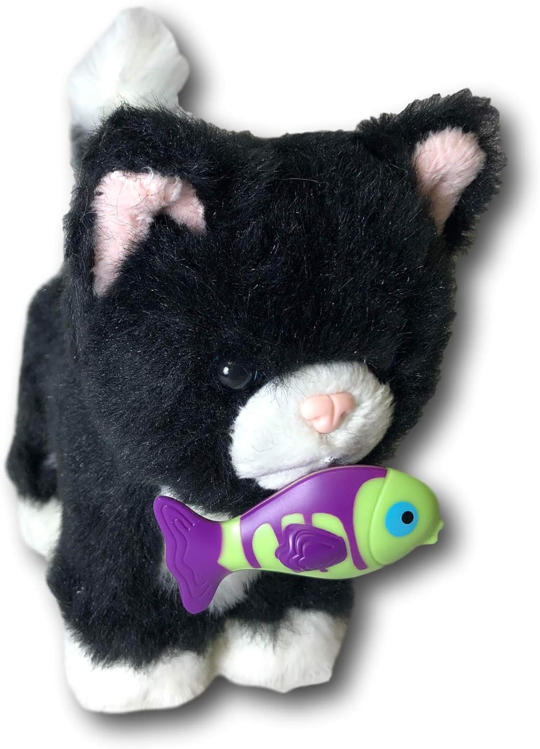 american girl tuxedo cat