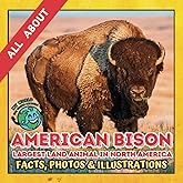 All about American Bison | Facts, Photos and Illustrations: A Picture Book for Kids and Toddlers | Screen-Free Infotainment (MY WORLD for YOUNG READERS)