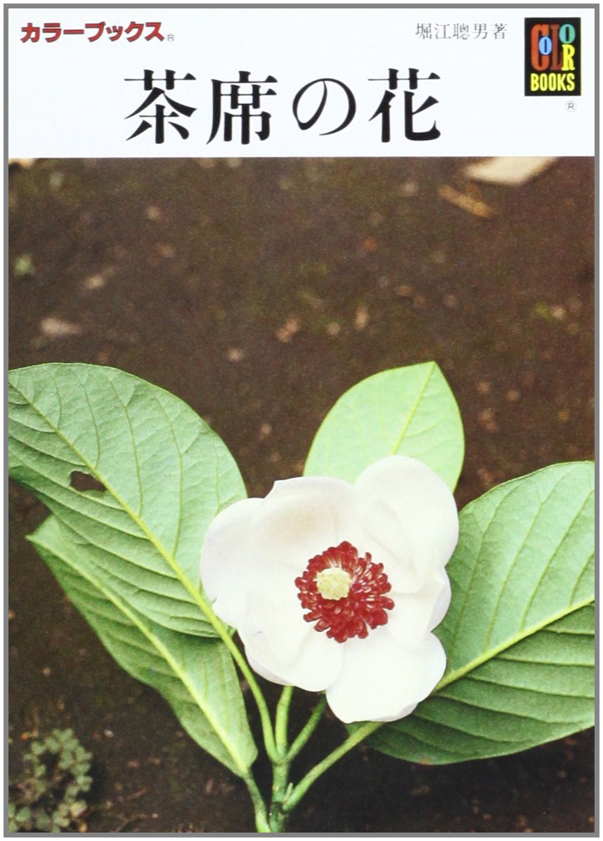 茶席の花 カラーブックス 408 堀江 聡男 本 通販 Amazon Co Jp