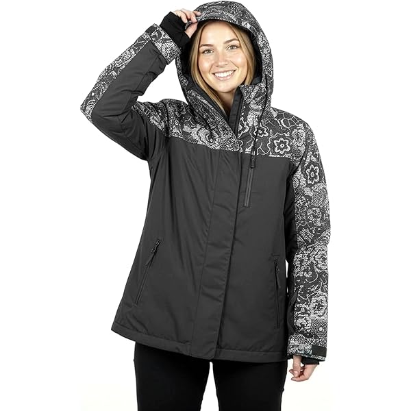 Amazon.com: Roxy Women's Gore-Tex Glade Snow Jacket, X-Small