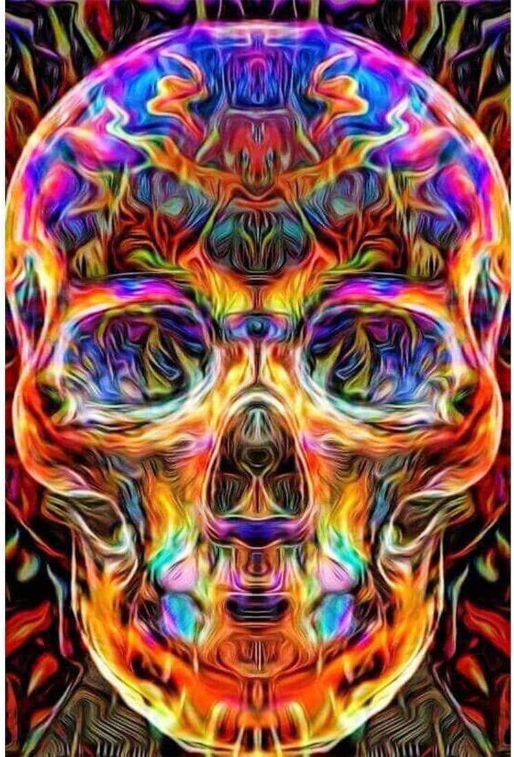 naspiweiya Malen Nach Zahlen Erwachsene, DIY Handgemalt