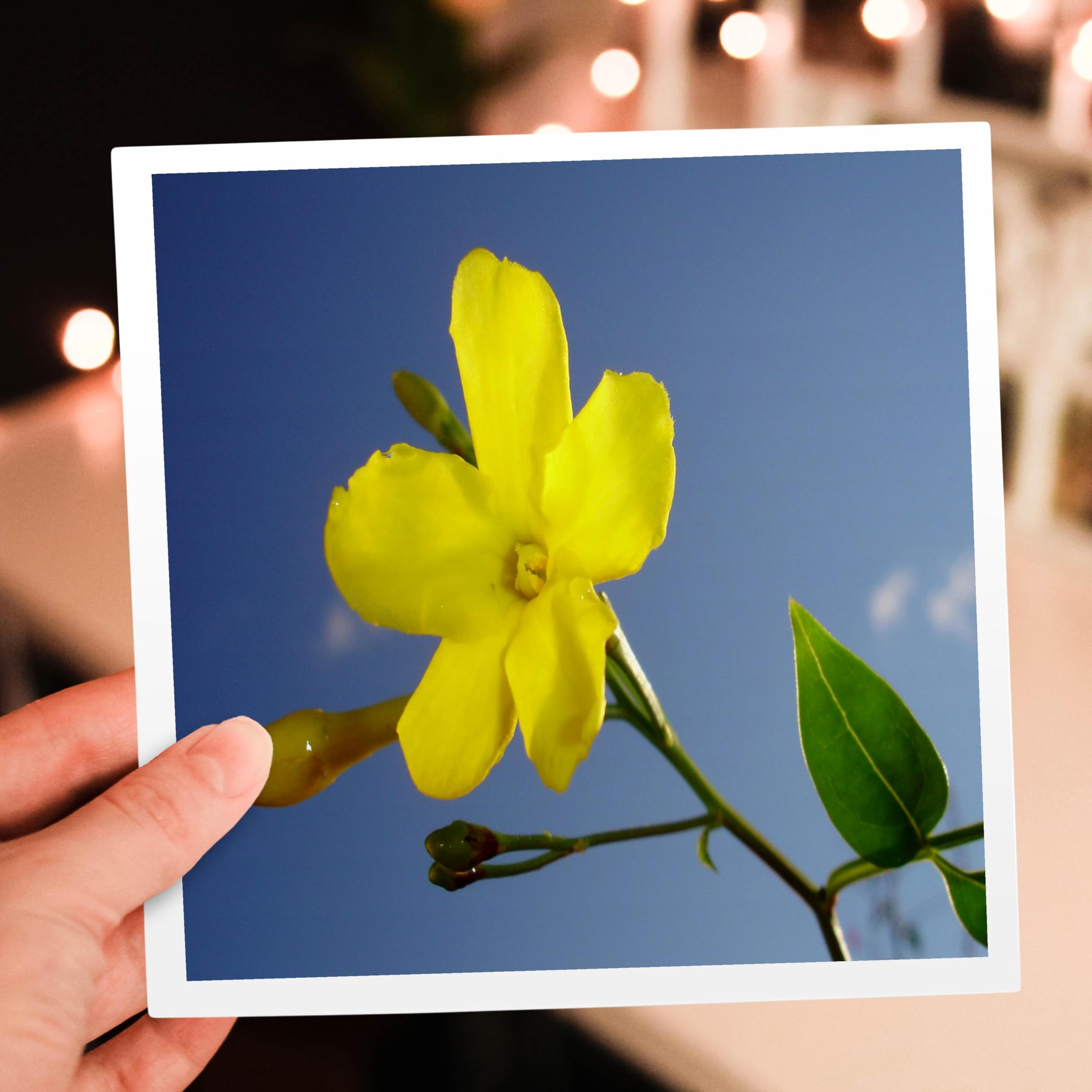 View 6
