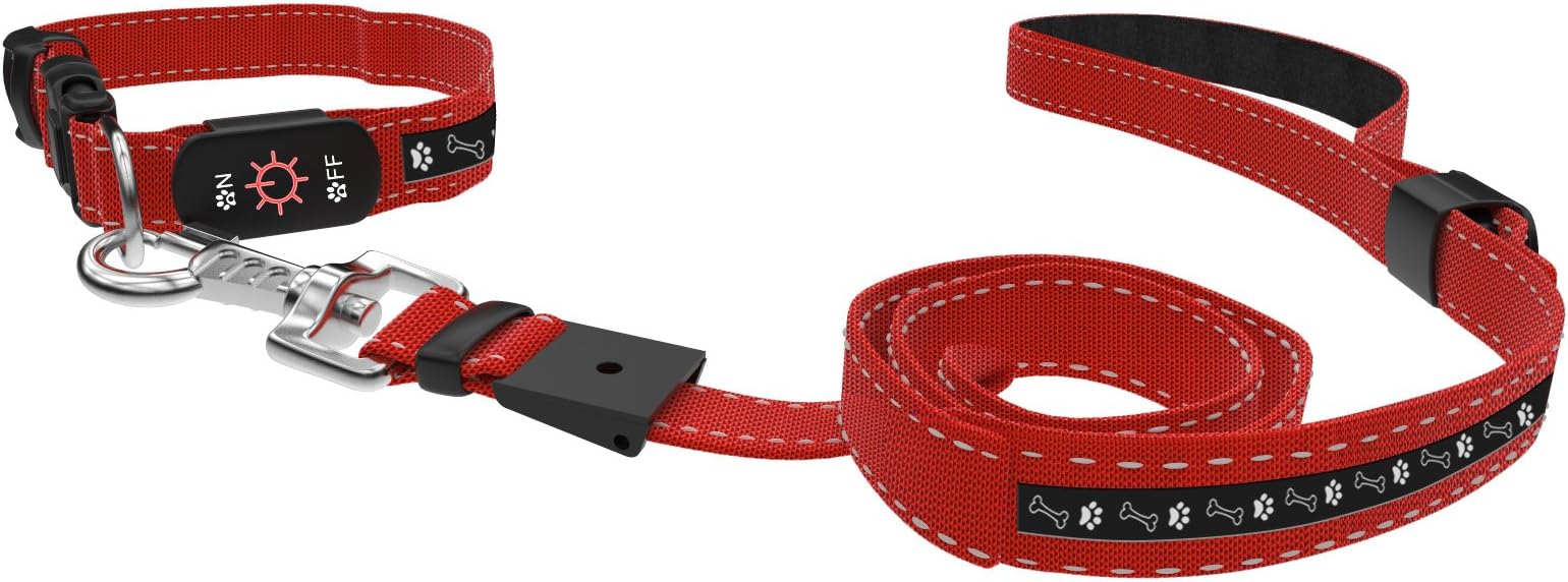 PANKOVPET LED Dog Collar [FREE Led Dog Leash Included]- USB Rechargeable -Adjustable & Durable - Premium Quality - Best Pet Control Training and Walking -Resuce Collar and Leash for Medium Dog