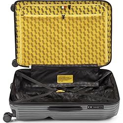 CRASH BAGGAGE | Stripe | Trolley Suitcase | Large
