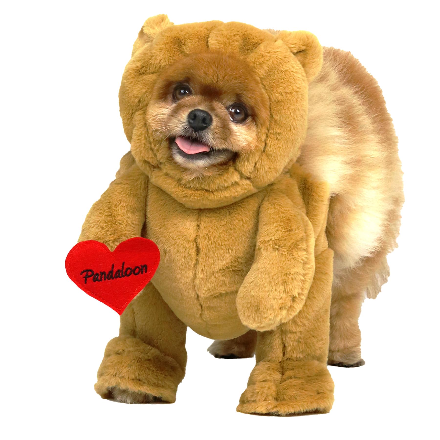 Pandaloon Dog Halloween Costume - As Seen on Shark Tank - Patented - Funny Costume with Arms for Small and Medium Dogs and Cats (Teddy Bear, Size 1(13-14 in Height at TOP of Head,Girth<16 in))